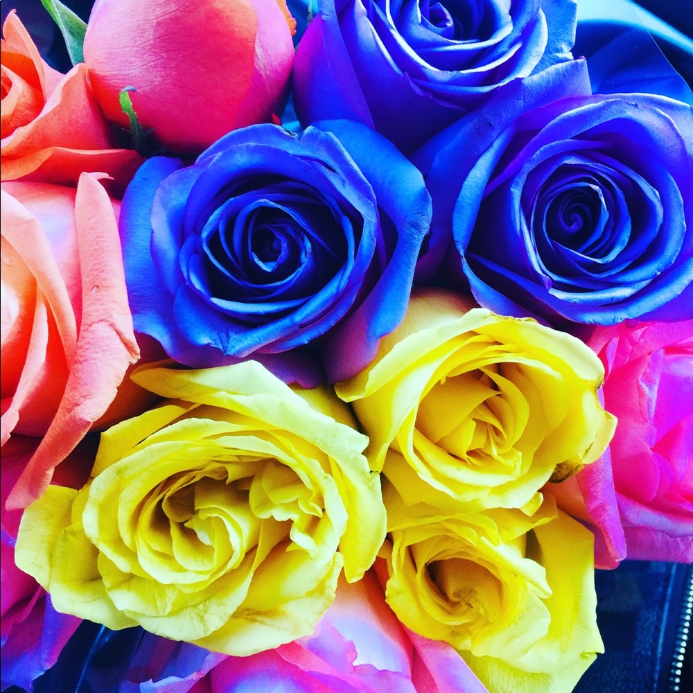 Meet your Posher, Roxana